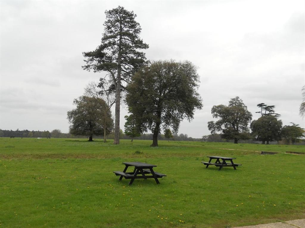The Stables at Henham Park Bed and Breakfast Southwold Eksteriør billede